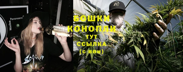 прущие грибы Липки
