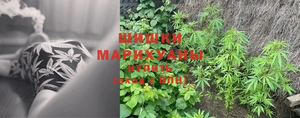 прущие грибы Липки