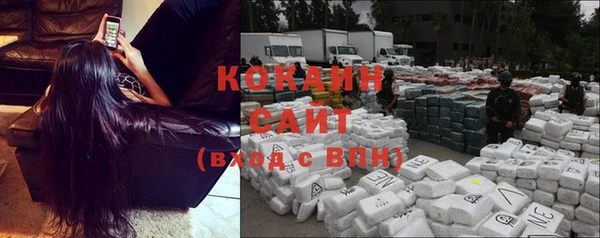 стаф Майский