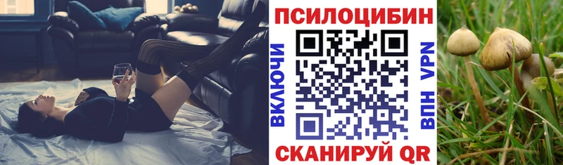 Купить закладки Ипатово Псилоцибиновые грибы MAGIC MUSHROOMS